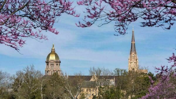 A view of the Main Building and Basilica on Notre Dame's campus in the spring.