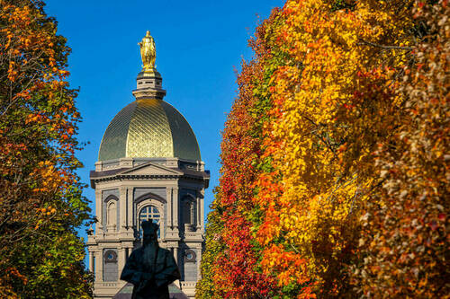 The Golden Dome of the Notre Dame Main Building shines under a blue sky, framed by trees displaying vibrant red, orange, and yellow autumn leaves.