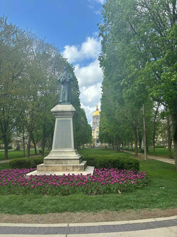 Dome on a spring day.